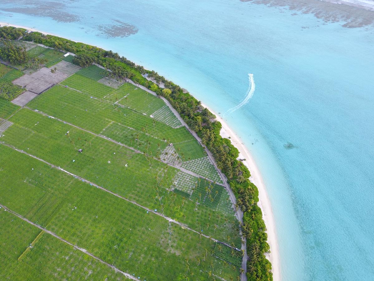 Resten inn Thoddoo-Atoll Exterior foto